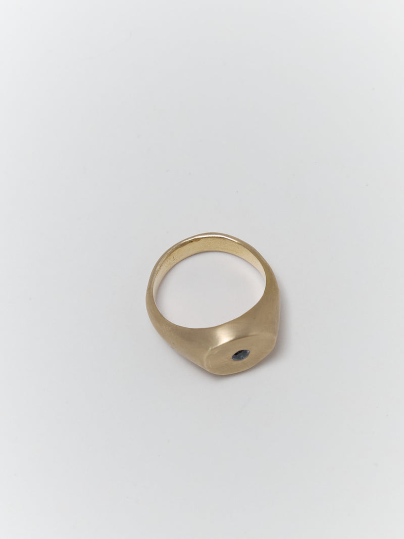 GEM PLATE Signet