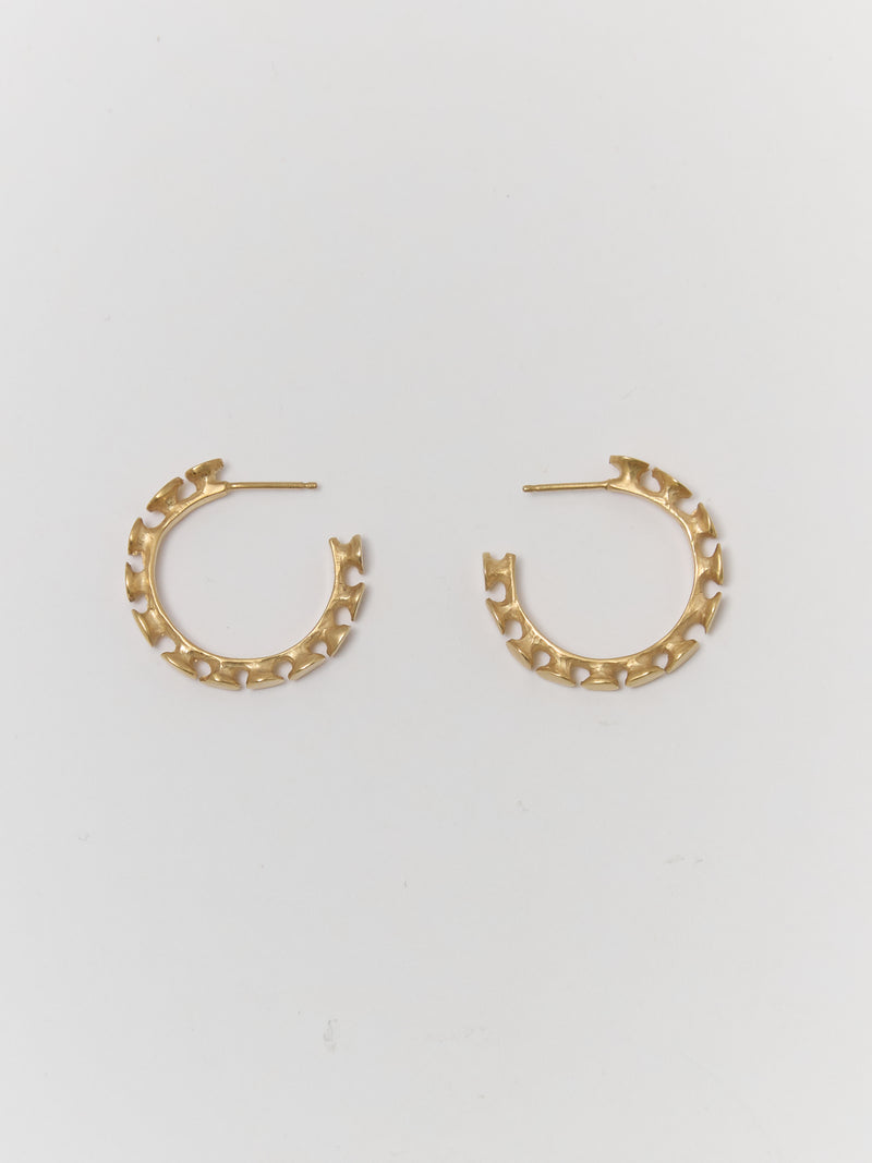 NAIL Hoops