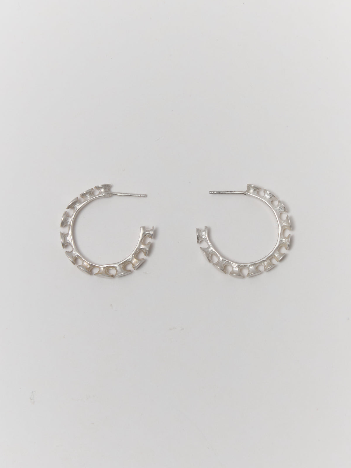 NAIL Hoops