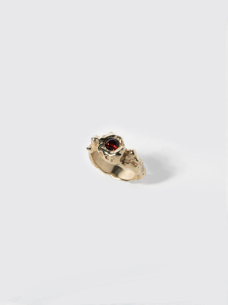 Product image of FARIS SPELL Ring in 14k gold plated bronze with garnet
